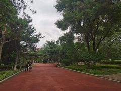 -沈阳中山公园
