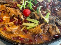 -老板恋上鱼(恒隆广场店)