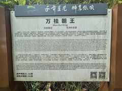 -张坝桂圆林公园