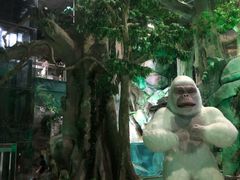 -福州罗源湾海洋世界旅游区