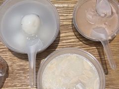 -海丝金凤(金鱼店)