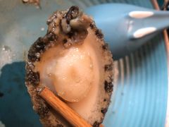鲍鱼牙齿未去除-海食焗(新光天地店)