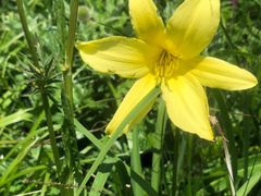 -白草畔自然风景区