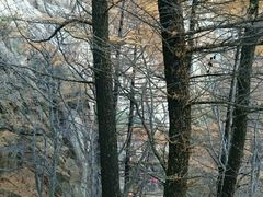 -崂山巨峰游览区