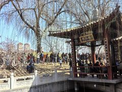 -桃花堤公园