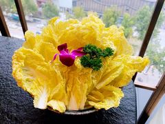 -新草堂锅物料理(泉城路店)
