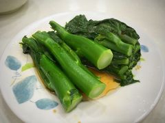 蚝油揀手油菜-麦文记面家(佐敦店)