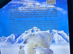 -泉城欧乐堡海洋极地世界