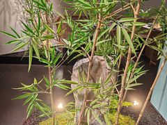 -绿茶餐厅(淮安吾悦广场店)