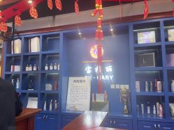 -东晨宝格丽品质造型