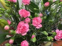 -金陵花卉交易市场