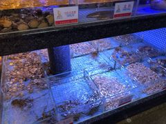 -名苑皇宫酒家(来魅力壁画村店)