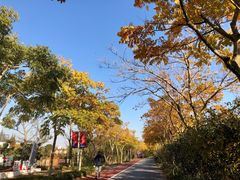 -上海长兴岛郊野公园