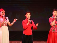 -陕北民歌大舞台