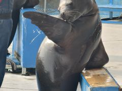 -华夏文旅海洋公园