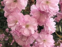 -幕燕滨江·长江观音景区