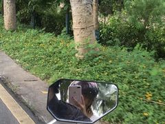 -三亚湾电动车租赁(三亚湾店)