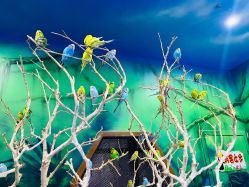 -未来动物城动物主题公园(大悦城店)