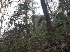 -紫金山索道-售票处