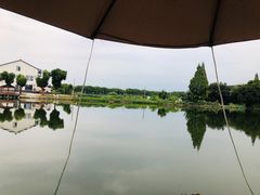 -水岸居湖景农家乐·阳澄湖大闸蟹