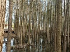 -青山湖景区