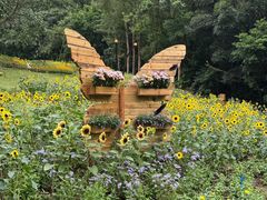 -芳华轩•客家菜馆(梧桐山店)