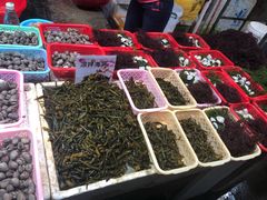 -都斛海鲜街