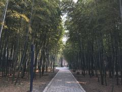 -同里国家湿地公园