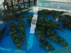 -喜来酌海鲜·饺子(和平一店)