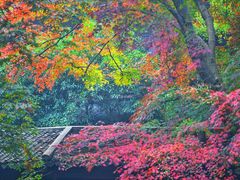 -惠山古镇·寄畅园