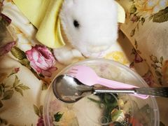 -TOYSRUS玩具反斗城(哈尔滨红博店)