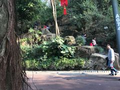 -金鸡山公园