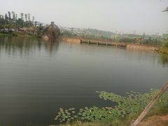 -枫香湖儿童公园