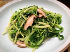 香菇炒鸡毛菜-辛香汇·现炒川菜(武进吾悦店)