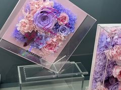 -ROSEONLY诺誓(国际广场购物中心店)