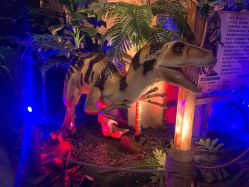 -恐龙探索乐园(磁器口店)