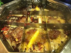 -蜀九香火锅(九眼桥店)