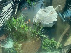 -聚缘堂·海鲜私房菜(松岭路店)