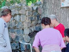 -阳台山自然风景区