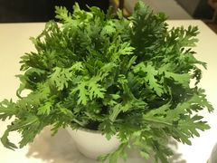 皇帝菜-陈记顺和牛肉火锅馆(天河北路店)