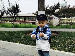 -西海子公园
