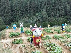 -瓷天下海丝谷