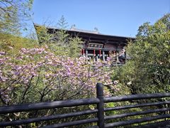 -大唐贡茶院
