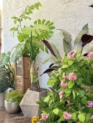 -城市花园婚纱摄影