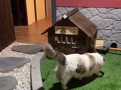 -白兔子密室(长寿路店)