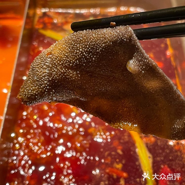 打卡看得见东方明珠的重庆火锅！宴山城！