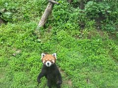 -沈阳森林动物园