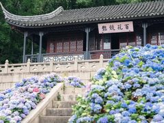 -苏州上方山国家森林公园
