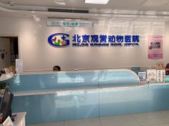 -北京观赏动物医院·24小时大型综合·猫专科·异宠专科