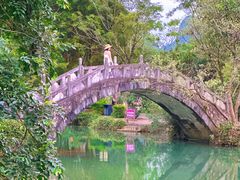 -靖西鹅泉风景区